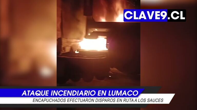 Ataque incendiario destruyó un camión en la ruta Lumaco-Los Sauces