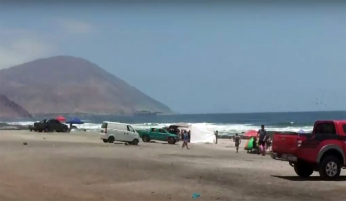 Para proteger la biodiversidad el borde costero, se proyecta prohibir el ingreso y tránsito de vehículos motorizados en playas