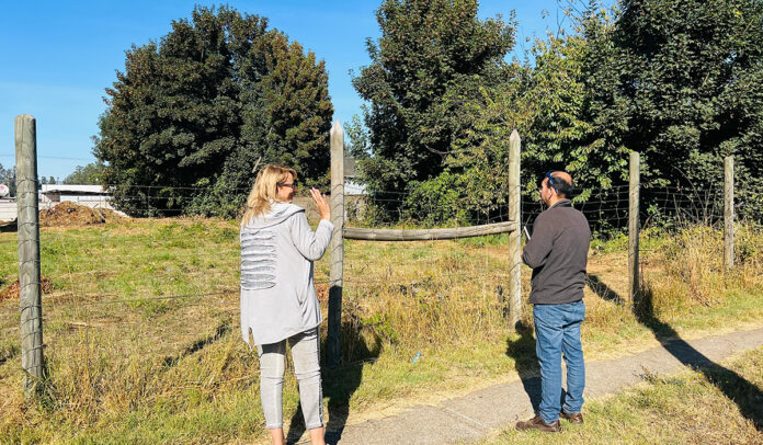 En el sector El Alto de Pitrufquén está el terreno donde se proyecta el COSAM