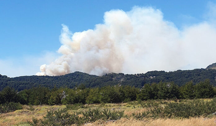 Desde el lado chileno, así es como se ve el gran incendio forestal cercano a Junin de Los Andes