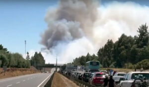 Conductores reportaron escasa o ninguna visibilidad en la carretera, especialmente en los tramos de las comunas Victoria, Ercilla y Collipulli, por los humos de los numerosos incendios forestales. Se ha solicitado evitar en lo posible transitar por la carretera e incluso por los caminos interiores, por el alto riesgo de accidentes o de ser atrapados por el fuego.